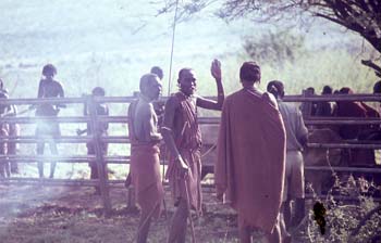 masai_kraal